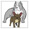 Full Color Transfer Neck Label / Tag  Thumbnail